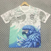 Maillot 25/26 Brésil Spécial